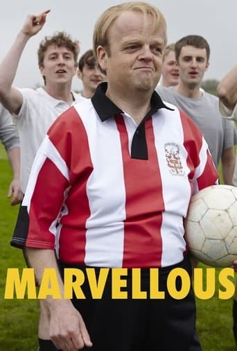 Affiche du film Marvellous (2014)