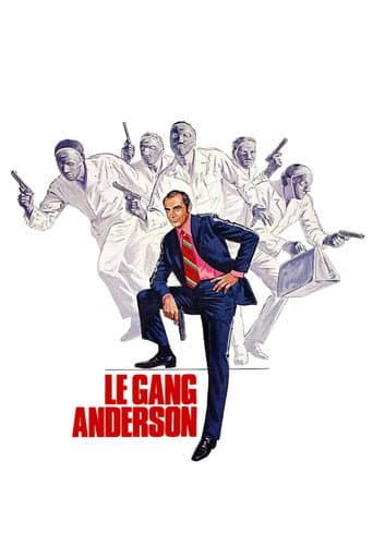 Affiche du film The Anderson Tapes (1971)
