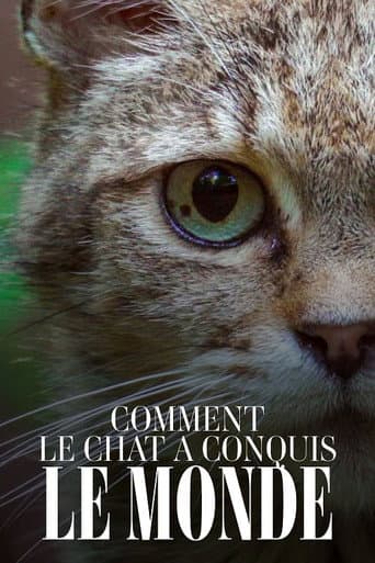 Affiche du film Comment le chat a conquis le monde (2020)