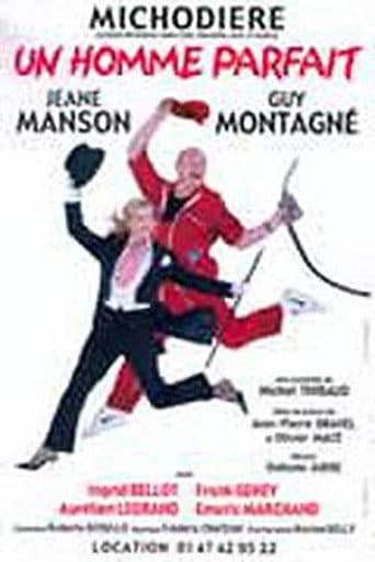 ملصق فيلم Un homme parfait (2003)
