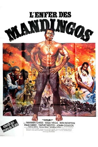 Affiche du film Drum (1976)