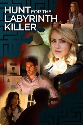 Affiche du film Hunt for the Labyrinth Killer (2013)