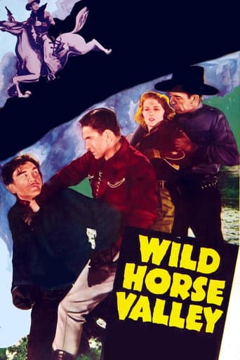Affiche du film Wild Horse Valley (1940)