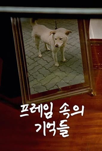 ملصق فيلم 프레임 속의 기억들 (1994)