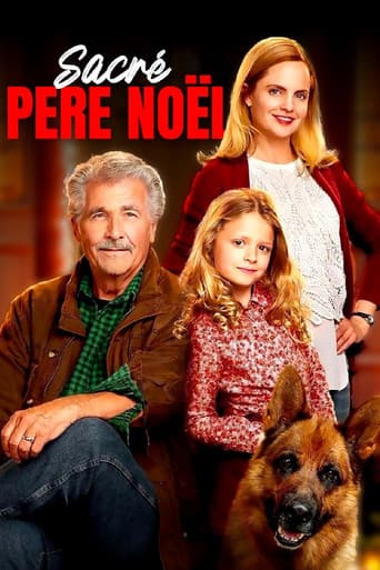 Affiche du film I'll Be Home for Christmas (2016)