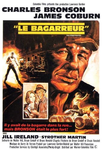 Affiche du film Hard Times (1975)
