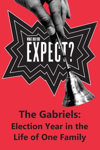 Affiche du film The Gabriels: Election Year in the Life of One Family, Play Two: What Did You Expect? (2017)