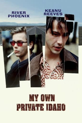 Affiche du film My Own Private Idaho (1991)