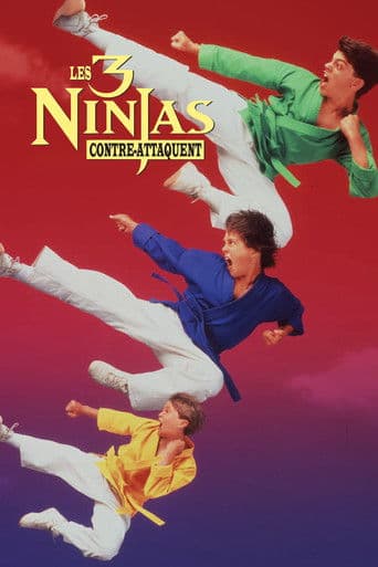 Affiche du film 3 Ninjas Kick Back (1994)