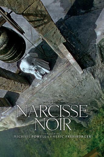 Affiche du film Black Narcissus (1947)