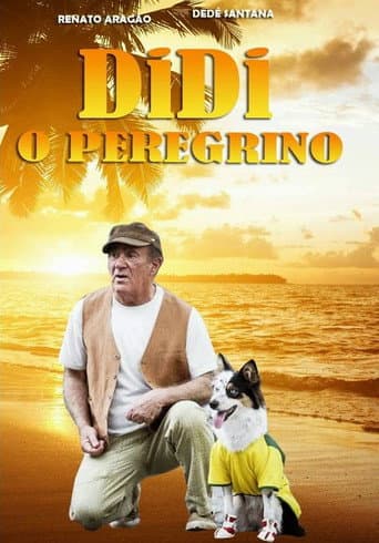 Didi, o Peregrino (2013) movie poster