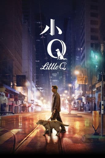 Affiche du film 小Q (2019)