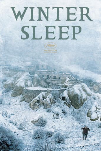 Affiche du film Kış Uykusu (2014)