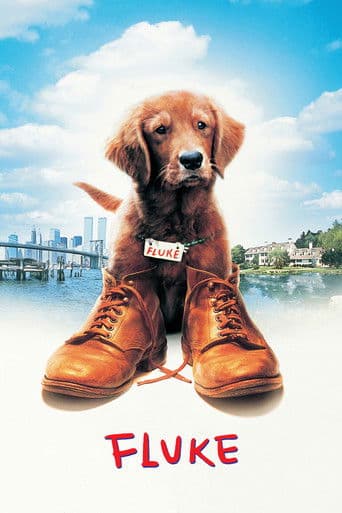 ملصق فيلم Fluke (1995)