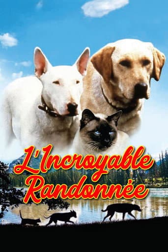 Affiche du film The Incredible Journey (1963)