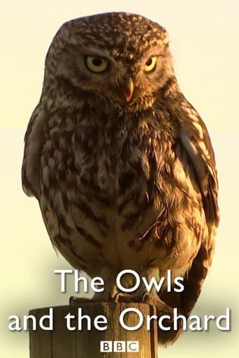 The Owls and the Orchard (2005) movie poster