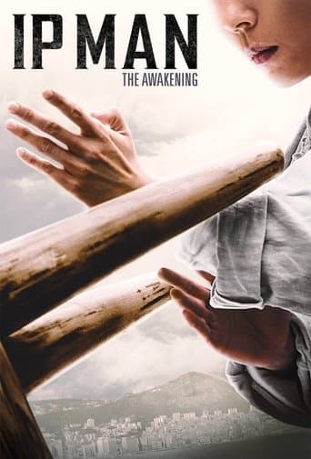 叶问宗师觉醒 (2021) movie poster