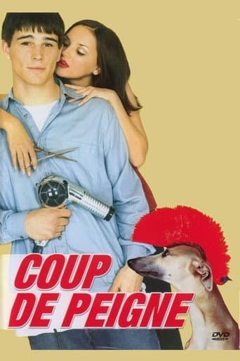 Affiche du film Blow Dry (2001)