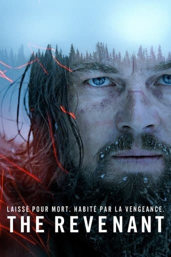 Affiche du film The Revenant (2015)