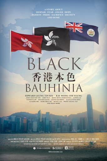 香港本色 (2020) movie poster