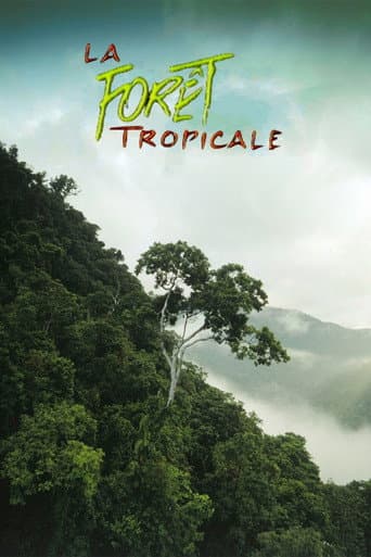 Affiche du film Tropical Rainforest (1992)