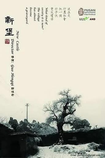 Affiche du film 新堡 (2010)