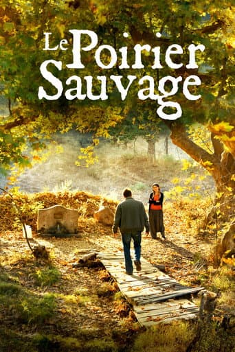 Affiche du film Ahlat Ağacı (2018)