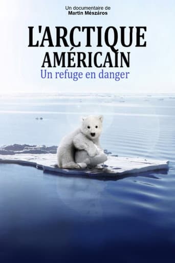 Arctic (2020) movie poster