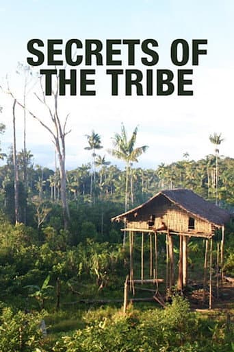 Segredos da Tribo (2010) movie poster