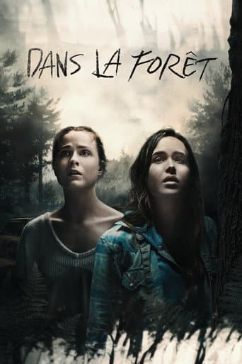Affiche du film Into the Forest (2016)