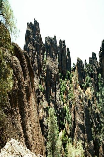 ملصق فيلم Pinnacles (2022)