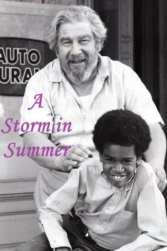 Affiche du film A Storm in Summer (1970)