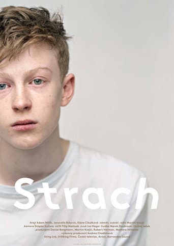 Affiche du film Strach (2013)