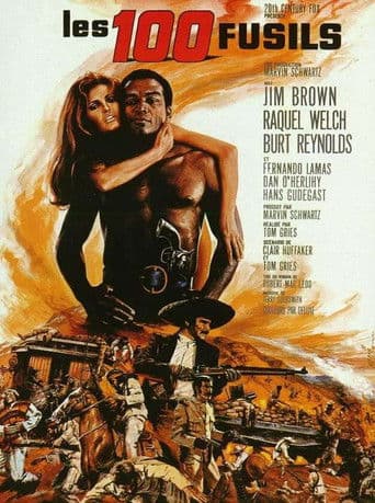Affiche du film 100 Rifles (1969)