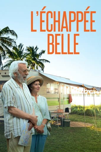 Affiche du film The Leisure Seeker (2018)