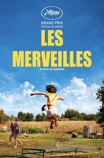 Affiche du film Le meraviglie (2014)