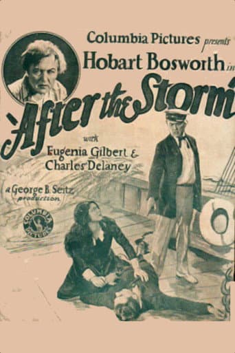 Affiche du film After the Storm (1928)