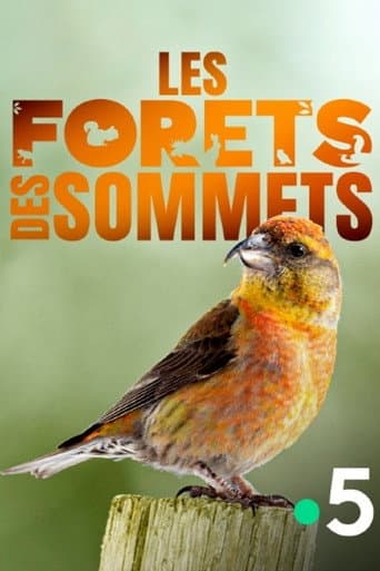 Affiche du film Les forêts des sommets (2017)