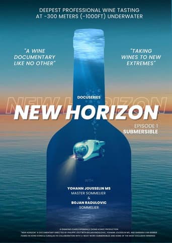 Affiche du film New Horizon