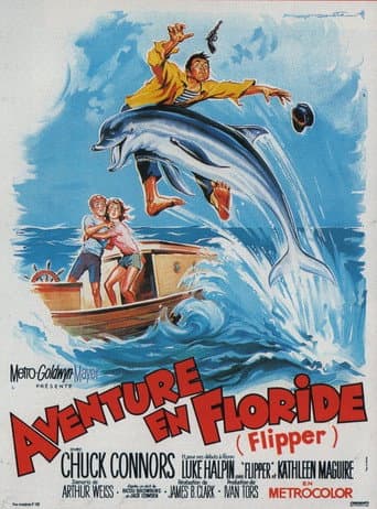 Affiche du film Flipper (1963)