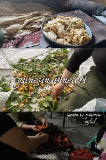 Gรผneลin Anneleri (2025) movie poster