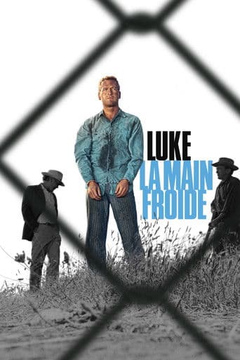 Affiche du film Cool Hand Luke (1967)