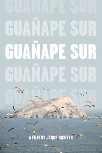 Guañape sur (2011) movie poster