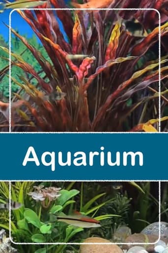 Relaxing Aquarium (2016) movie poster
