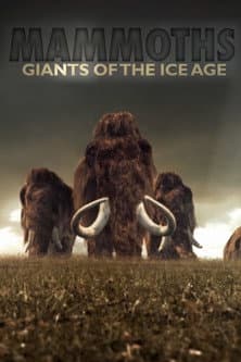 Affiche du film Mammuts - Herrscher der Eiszeit (2014)