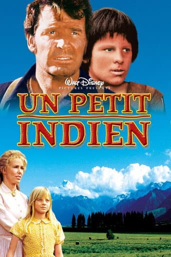Affiche du film One Little Indian (1973)