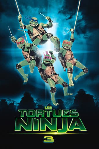 Affiche du film Teenage Mutant Ninja Turtles III (1993)