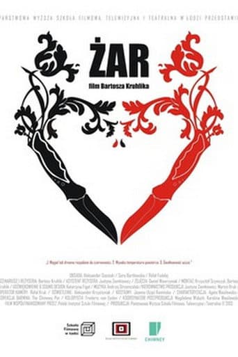 ملصق فيلم Żar (2013)
