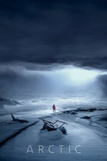 Arctic (2018) movie poster