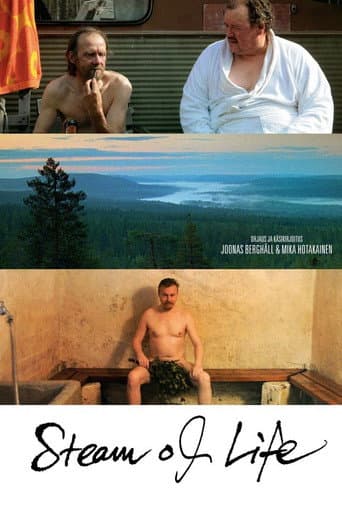 ملصق فيلم Miesten vuoro (2010)